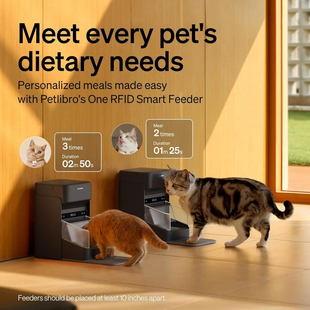 Automatic Cat Feeder with Collar Sensor & App Control for Multi-Cat Homes